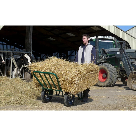 Budget 💯 BROUETTE HAEMMERLIN PRO SELECT AGRICOLA 2 ROUES GONFLÉES -302075701 🛒 4 Budget 💯 BROUETTE HAEMMERLIN PRO SELECT AGRICOLA 2 ROUES GONFLÉES -302075701 🛒 – Image 2