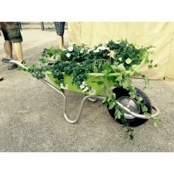 Les meilleures critiques de 👏 BROUETTE HAEMMERLIN PLUME 100L VERT ANIS ROUE GONFLÉE - 305141901 🥰 -Haemmerlin magasin plume anis en situation