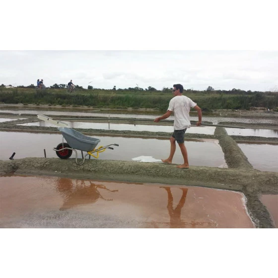 Bon marché 🌟 BROUETTE SPECIALE SALINES 110L HAEMMERLIN - 305132605 ❤️ 4 Bon marché 🌟 BROUETTE SPECIALE SALINES 110L HAEMMERLIN - 305132605 ❤️ – Image 2